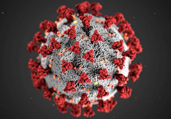 covid-19-coronavirus-covid-cell-pandemic-corona-virus-1608796-pxhere.com (1)
